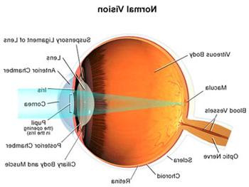 scientific-eyeball-image